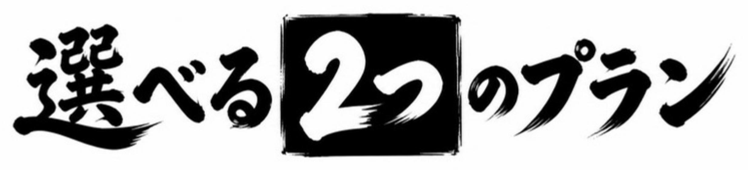 選べる2つのプラン